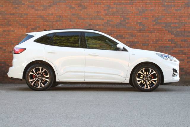 2020 Ford Kuga 2.0 EcoBlue MHEV ST-Line X Euro 6 (s/s) 5dr